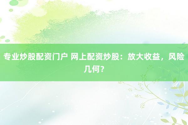 专业炒股配资门户 网上配资炒股：放大收益，风险几何？