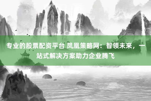 专业的股票配资平台 凤凰策略网：智领未来，一站式解决方案助力企业腾飞