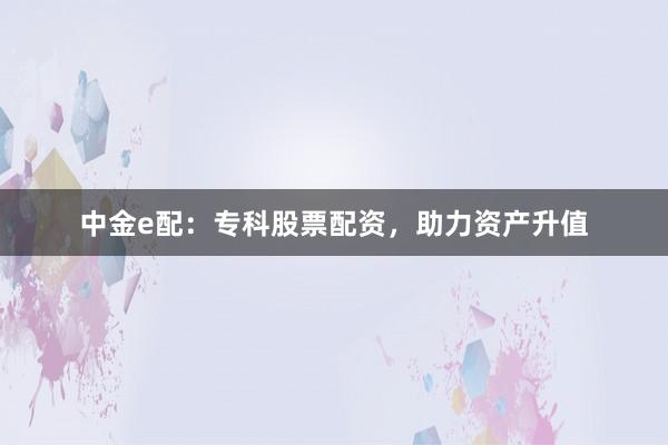 中金e配：专科股票配资，助力资产升值