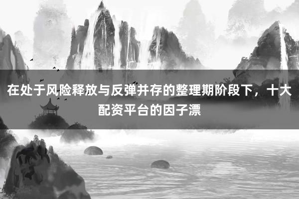 在处于风险释放与反弹并存的整理期阶段下,十大配资平台的因子漂