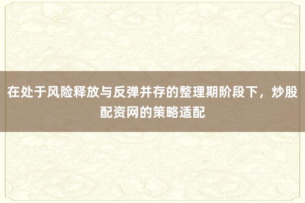 在处于风险释放与反弹并存的整理期阶段下，炒股配资网的策略适配