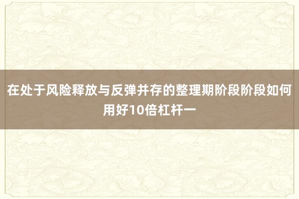 在处于风险释放与反弹并存的整理期阶段阶段如何用好10倍杠杆一