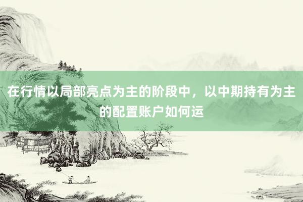 在行情以局部亮点为主的阶段中，以中期持有为主的配置账户如何运