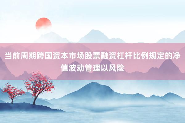 当前周期跨国资本市场股票融资杠杆比例规定的净值波动管理以风险