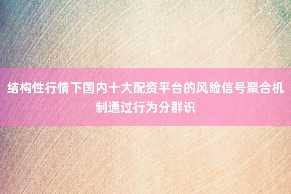 结构性行情下国内十大配资平台的风险信号聚合机制通过行为分群识