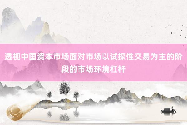 透视中国资本市场面对市场以试探性交易为主的阶段的市场环境杠杆